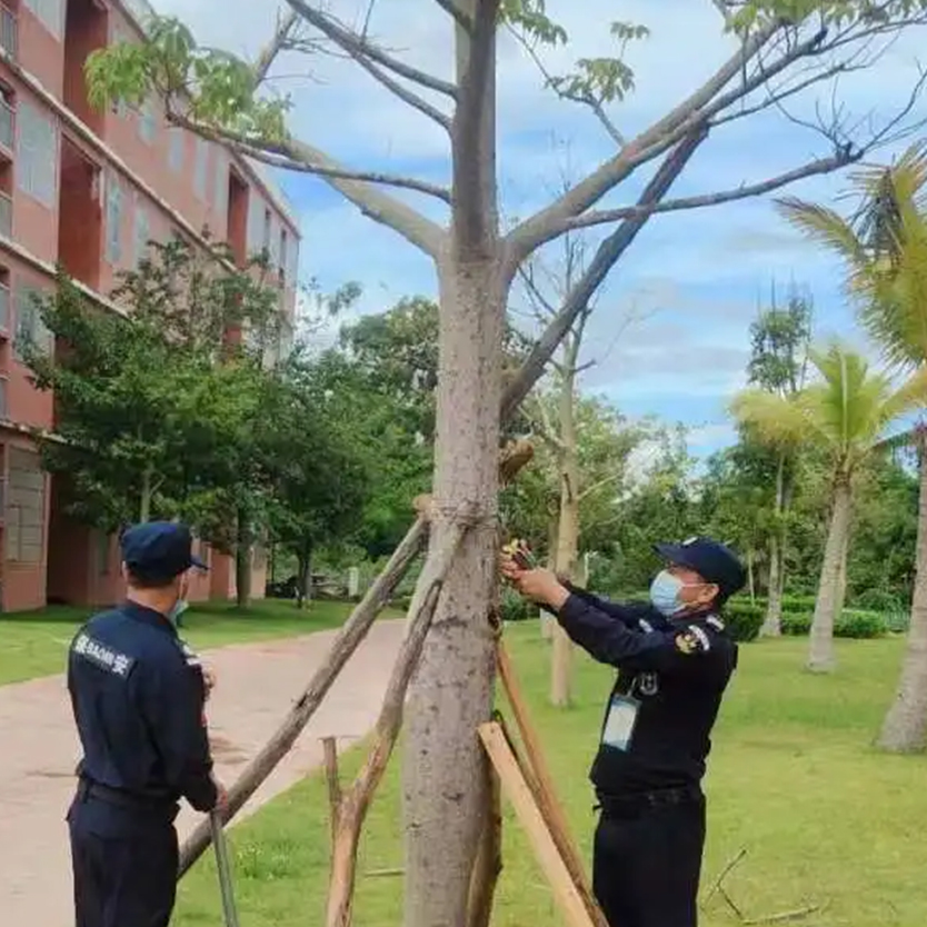 聞“風(fēng)”而動(dòng)，全力以“復(fù)” | 災(zāi)后重建，百雀人在行動(dòng)